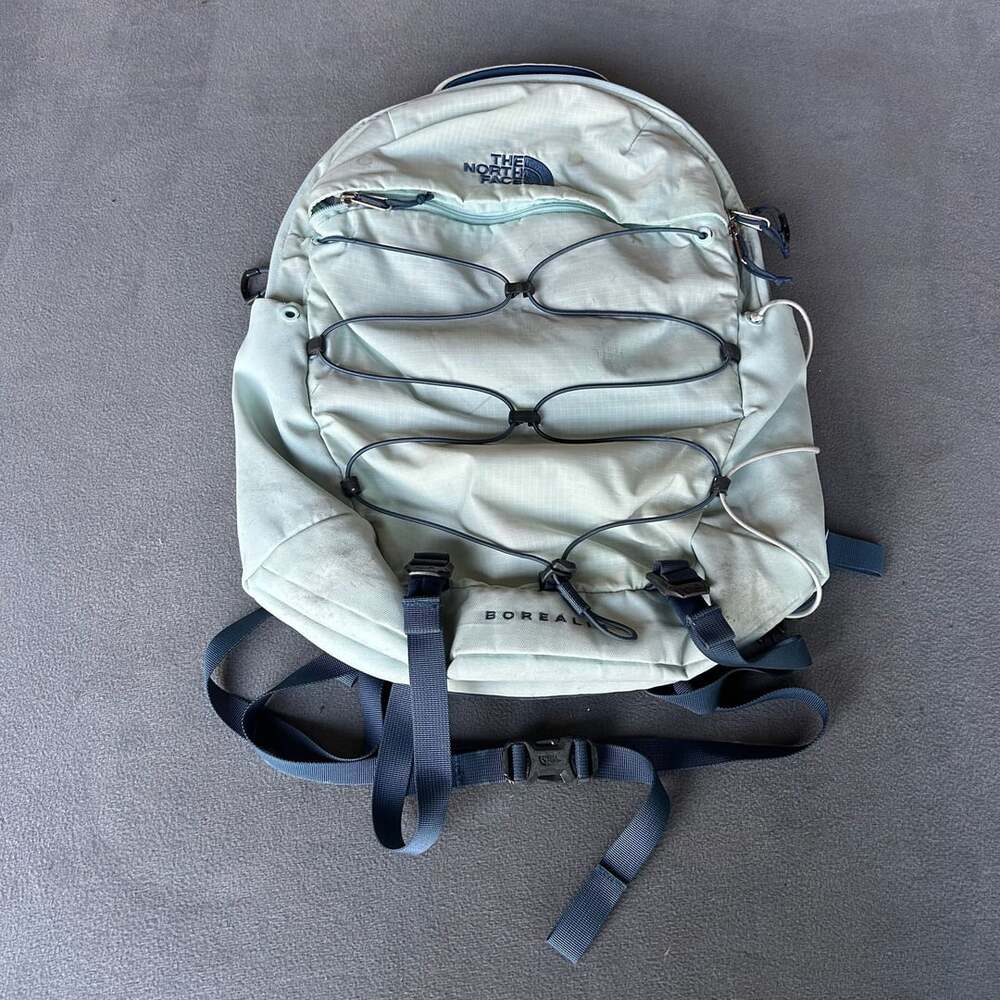 The North Face Women's Borealis Backpack Green Blue FlexVent